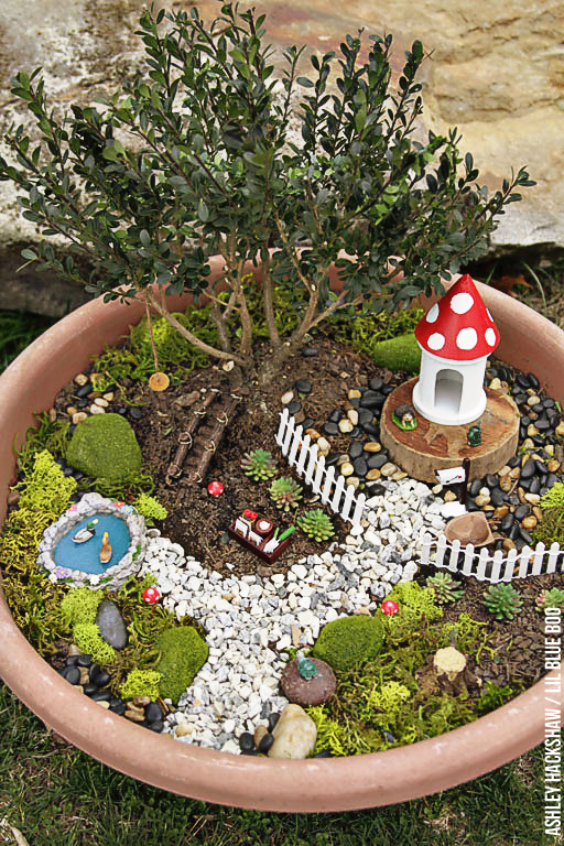 Fairy Garden Ideas How To Make A Bonsai Tree Fairy Garden