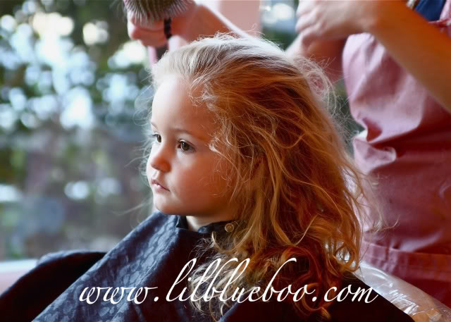 Hair Accessories Archives - Ashley Hackshaw / Lil Blue Boo