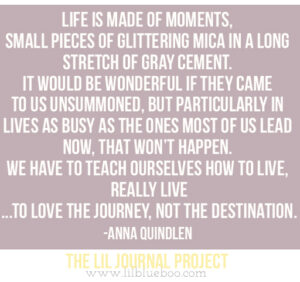 Anna Quindlen Quote A Short Guide to a Happy Life via lilblueboo.com