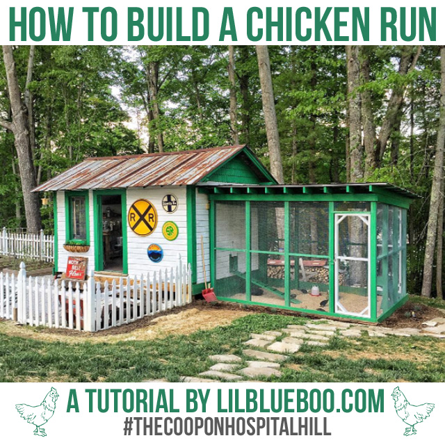 build a chicken run