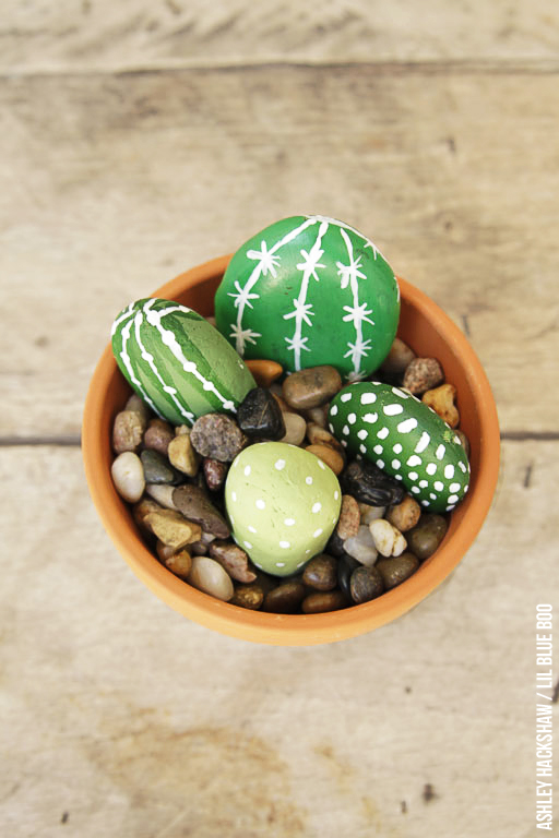 Painted Rock Cactus Plants - Ashley Hackshaw / Lil Blue Boo