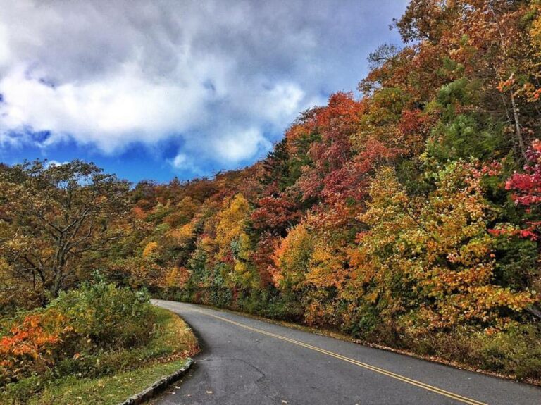 Chasing Fall Color - The Blue Ridge Parkway - Ashley Hackshaw