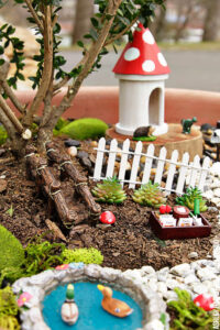 Fairy Garden Ideas - How to make a Bonsai Tree Fairy Garden